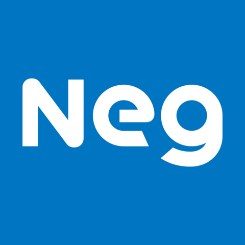 Nippon Electric Glass Co., Ltd. Logo