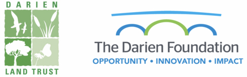 The Darien Foundation Logo