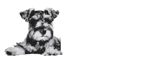 Maddie’s Fund Logo