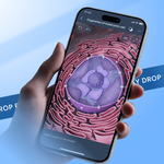 VOKA Announces Free 1-Month Access to a Pro Subscription for New Users 2 voka grants free access to 3d atlas