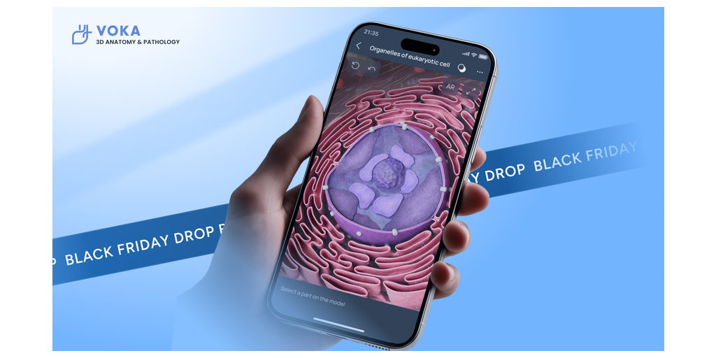 VOKA Announces Free 1-Month Access to a Pro Subscription for New Users 1 voka grants free access to 3d atlas