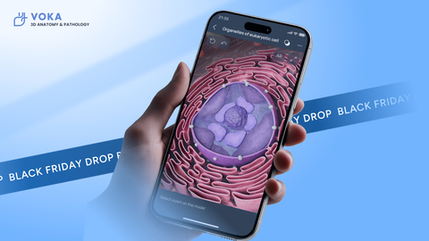 Get 30 days of full free access to the VOKA 3D Anatomy & Pathology app with 1,000+ 3D models, AR tools, and pathology cases for students, clinicians, and educators.