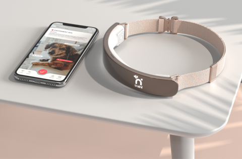 The Traini cognitive smart collar, designed for real-time human–dog conversational AI. https://traini.app