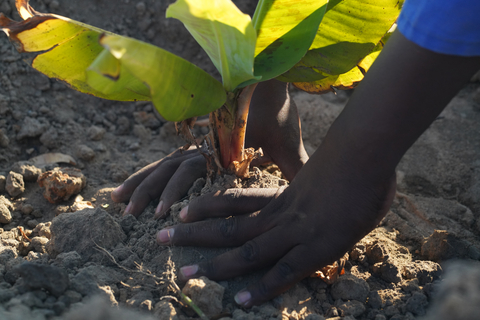 original Nu Skin Releases its Annual Social Impact and Sustainability Report