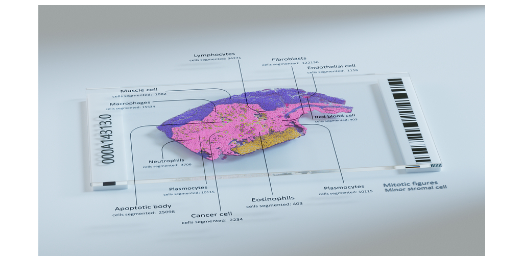  È ora disponibile l'agente AI biologico specializzato di Owkin, Pathology Explorer, lanciato con Claude for Healthcare and Life Sciences