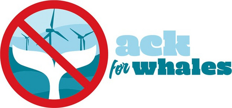 ACK for Whales Logo