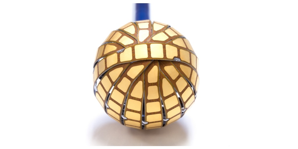 Kardium Announces Publication of PULSAR Pivotal Trial Results in JACC 1 Kardium Globe array deployed