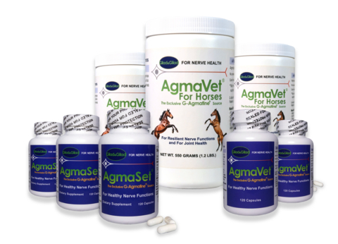 original Gilad&Gilad's category-leading products containing G-Agmatine® are superior for sustaining proper nerve functions and joints mobility.