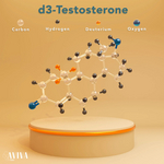 d3-Testosterone-AvivaBio.jpg