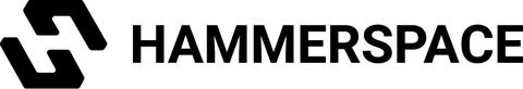 Hammerspace Logo