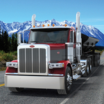 Photo_1_-_Peterbilt_589.jpg