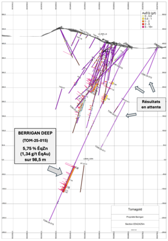 original Figure 1 : Sondage TOM-25-015, une découverte majeure en profondeur