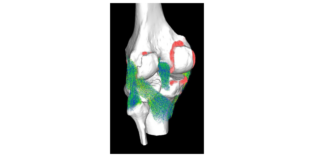 Vent Creativity Appoints Paul Abrams as Vice President of Sales to Lead Commercial Growth 1 Picture1