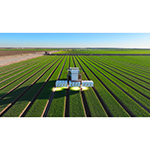 LaserWeeder_G2_Daytime_-_Spinach_-_Yuma_-_Aerial.jpg