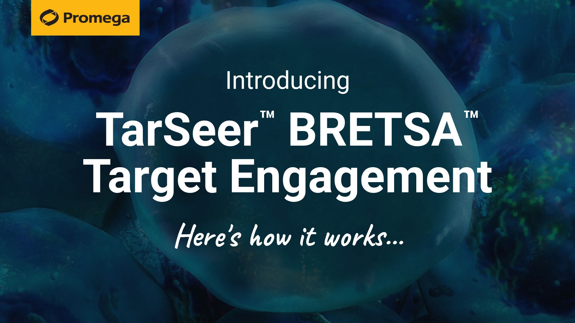 ud83cudfa5 The TarSeeru2122 BRETSAu2122 Target Engagement System combines the sensitivity and live-cell capabilities of bioluminescence resonance energy transfer with the target-agnostic nature of protein denaturation assays. This animation shows how the technology works in live cells.