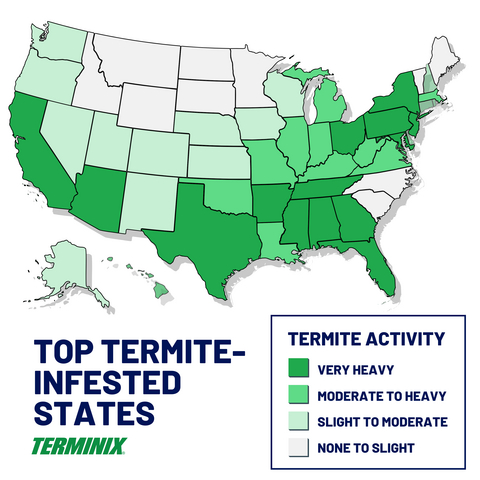 original Top Termite-Infested States