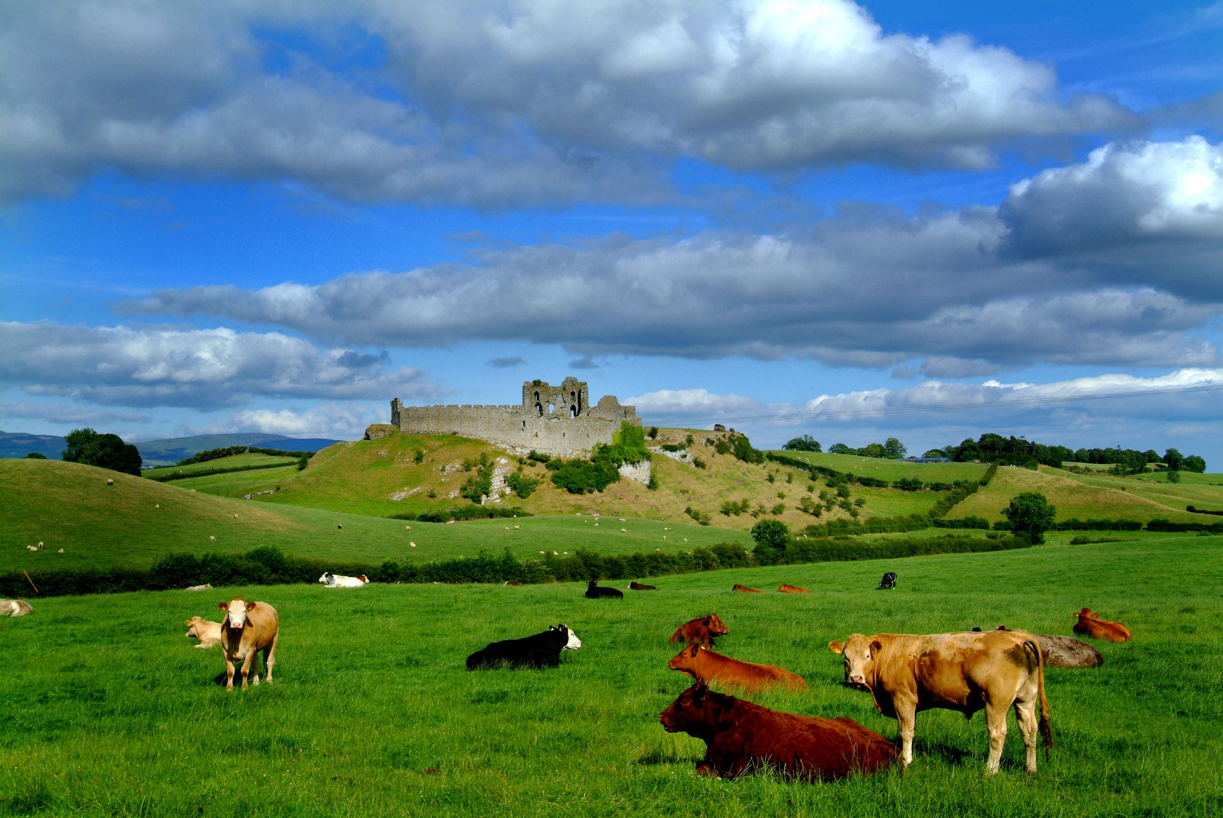 Farm in Castleroche, Co. Louth