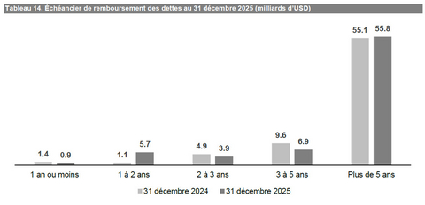 Tableau 14. Échéancier de remboursement des dettes au 31 décembre 2025 (milliards d’USD)