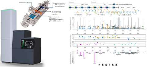 Annotated timsOmni™ glycopeptide eXd spectrum from GlycoScape™ highlighting both glycan fragment ions as well as peptide fragment ions