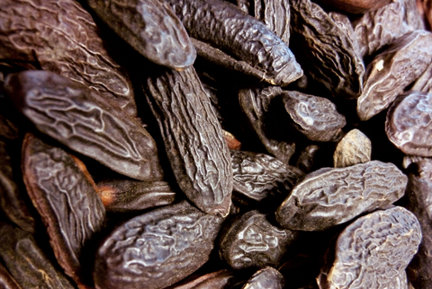 Tonka Bean CO2 Absolute extracted by LMR.