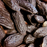 Tonka-bean-press-release.jpg