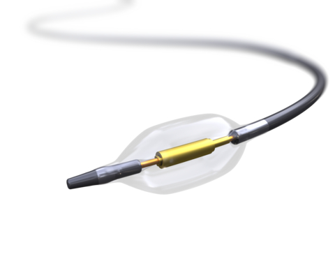 Paradise カテーテル