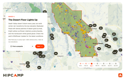Screenshot of the interactive California superbloom forecast.