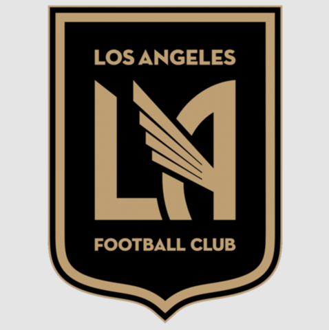 Vistance Networks Logo