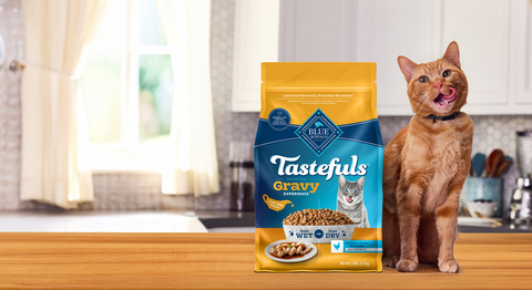 The new BLUE Tastefuls Gravy transitions from a dry kibble with gravy baked right in to a rich, savory gravy by just adding water. ​