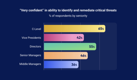 Percentage of respondents by seniority who are 