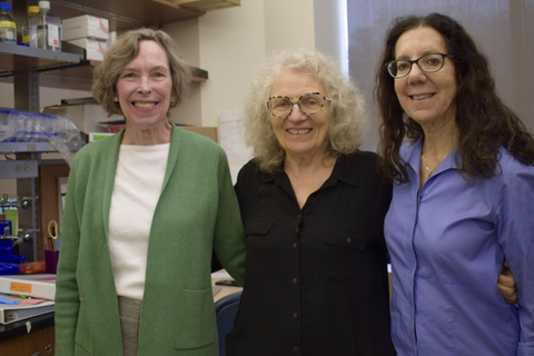 Drs. Meggan Mackay, Betty Diamond and Cynthia Aranow. (Credit: Feinstein Institutes)