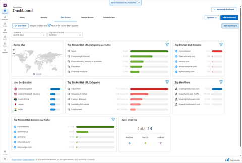 Barracuda SecureEdge DNS Access Dashboard