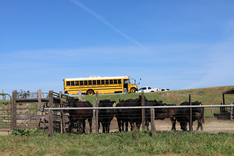 thumbnail School nutrition professionals attending day one of the California Beef Council’s Ranch-to-Tray tour visited Ardis Cattle Company, which sells beef directly to the Oakdale Joint Unified School District. Photo courtesy of California Beef Council.