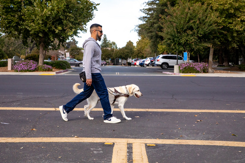 Rene Carrasco crosses the street with Snoopy, his yellow Labrador Retriever guide dog.