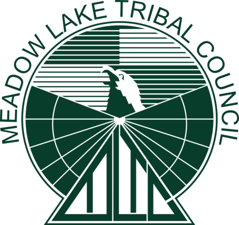 Svante Technologies Inc. Logo