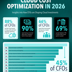 CFO_CCO_Report_Infographic_portrait_no_URL.jpg