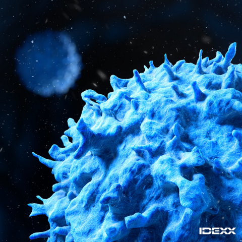 Test IDEXX Cancer Dx