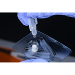 vVARDIS Announces Investment from Apollo —Achieves Unicorn Status 4 Apollo Release Image Curodont