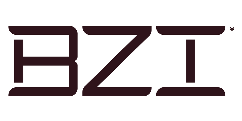 Bzi Logo 1 Copy 3