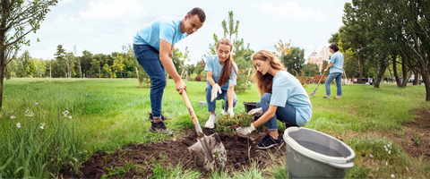 A Toshiba celebra o Dia da Terra 2026 ao longo do ano