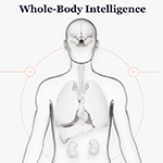 Curve Biosciences Announces Key AI and Clinical Advancements of Whole-Body Intelligence for Chronic Diseases 2 Curve Whole Body Intelligence Diagram