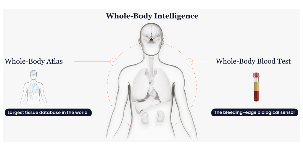 Curve Biosciences Announces Key AI and Clinical Advancements of Whole-Body Intelligence for Chronic Diseases 1 Curve Whole Body Intelligence Diagram