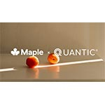 maple-quantic-partner.jpg