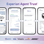 know-your-agent-02f_%28007%29.jpg
