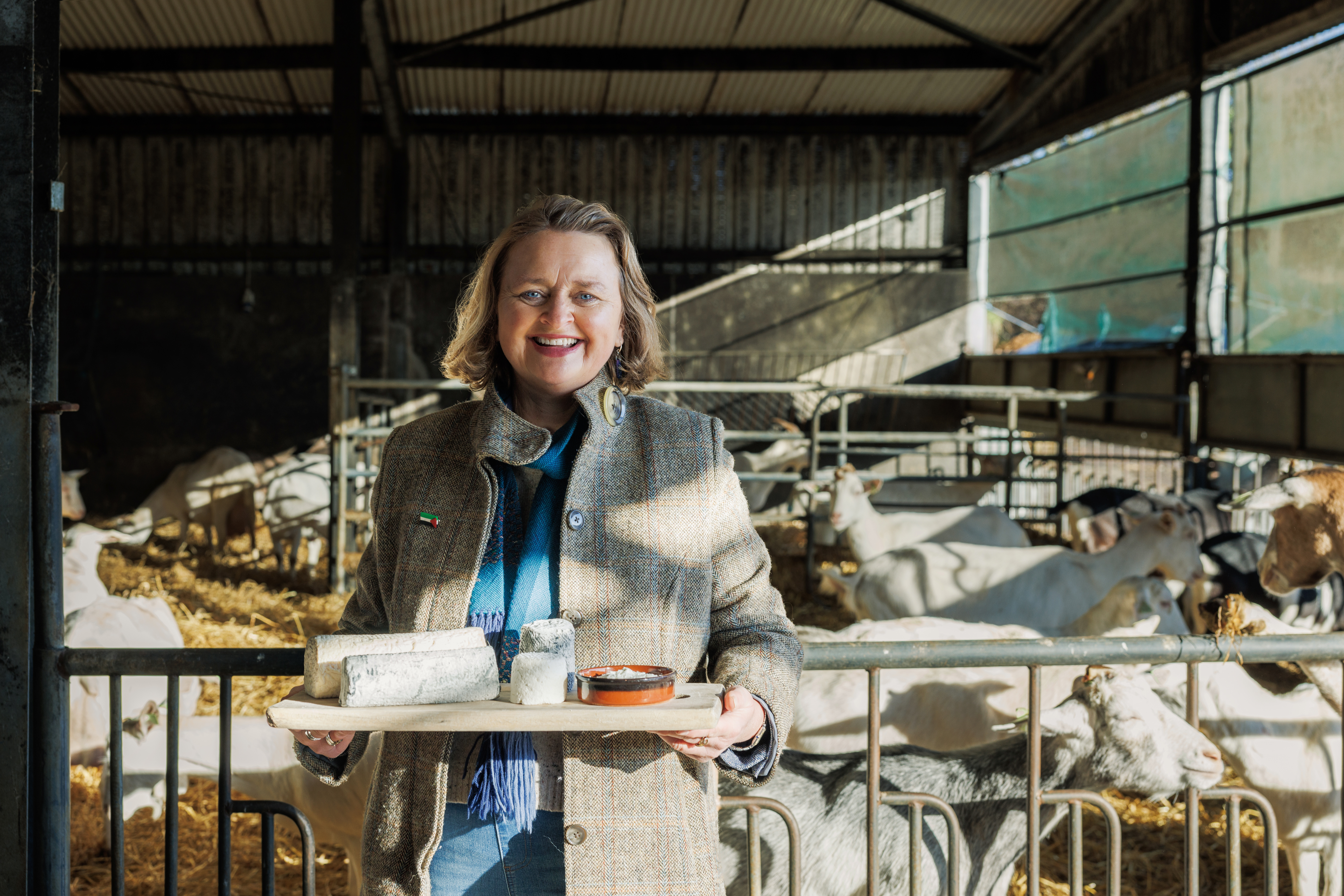 St Tola Goat Cheese Farm Ennistymon, Co. Clare