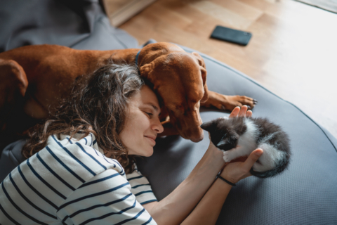 Blue Buffalo™ Is Donating Up to $250,000 to Best Friends Animal Society for National Pet Month.