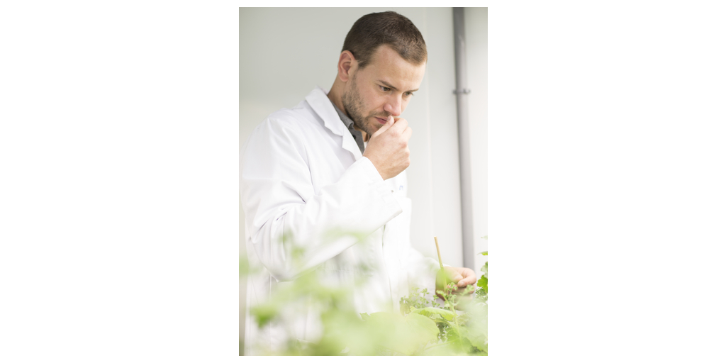  LMR Naturals presenterà la leadership negli ingredienti naturali al SIMPPAR, la fiera internazionale delle materie prime per la profumeria