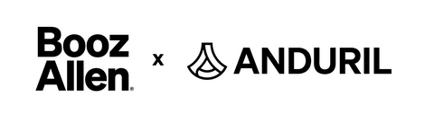 Booz Allen Hamilton Holding Corporation Logo