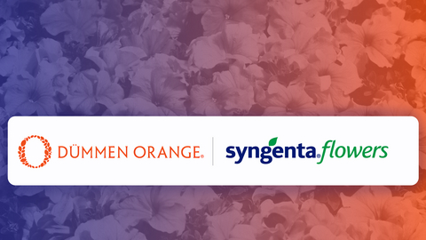 Syngenta to divest its Flowers business into a Joint Venture with Dümmen Orange