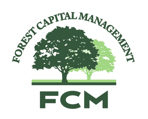 Forest Capital Management Logo